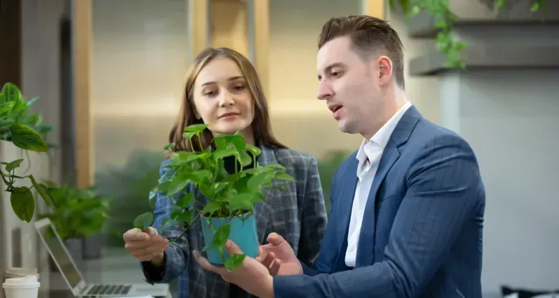 ESG Reporting: Best Practices for Modern Businesses